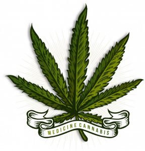 קנאביס רפואי